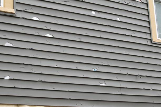 Best Wood Siding Installation  in Mayville, NY